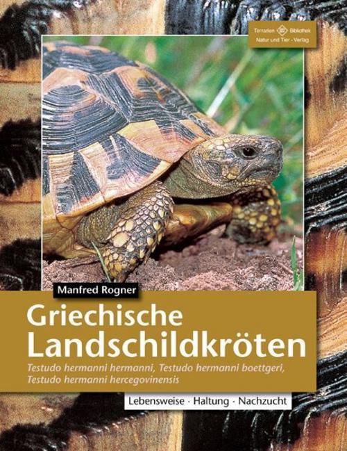 Buchcover: Griechische Landschildkröten