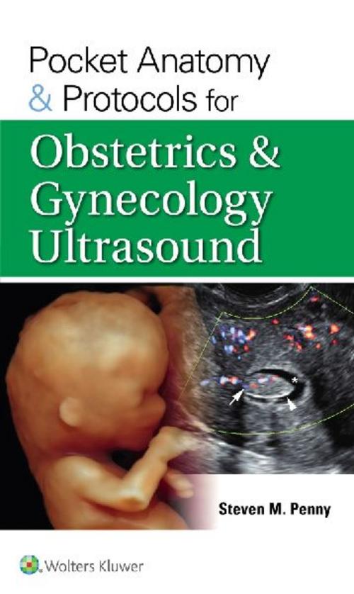 Buchcover: Pocket Anatomy & Protocols for Obstetrics & Gynecology Ultrasound