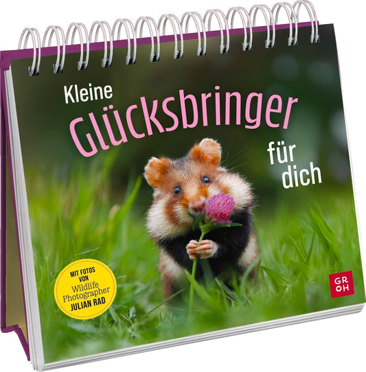 Kleine Glücksbringer für dich