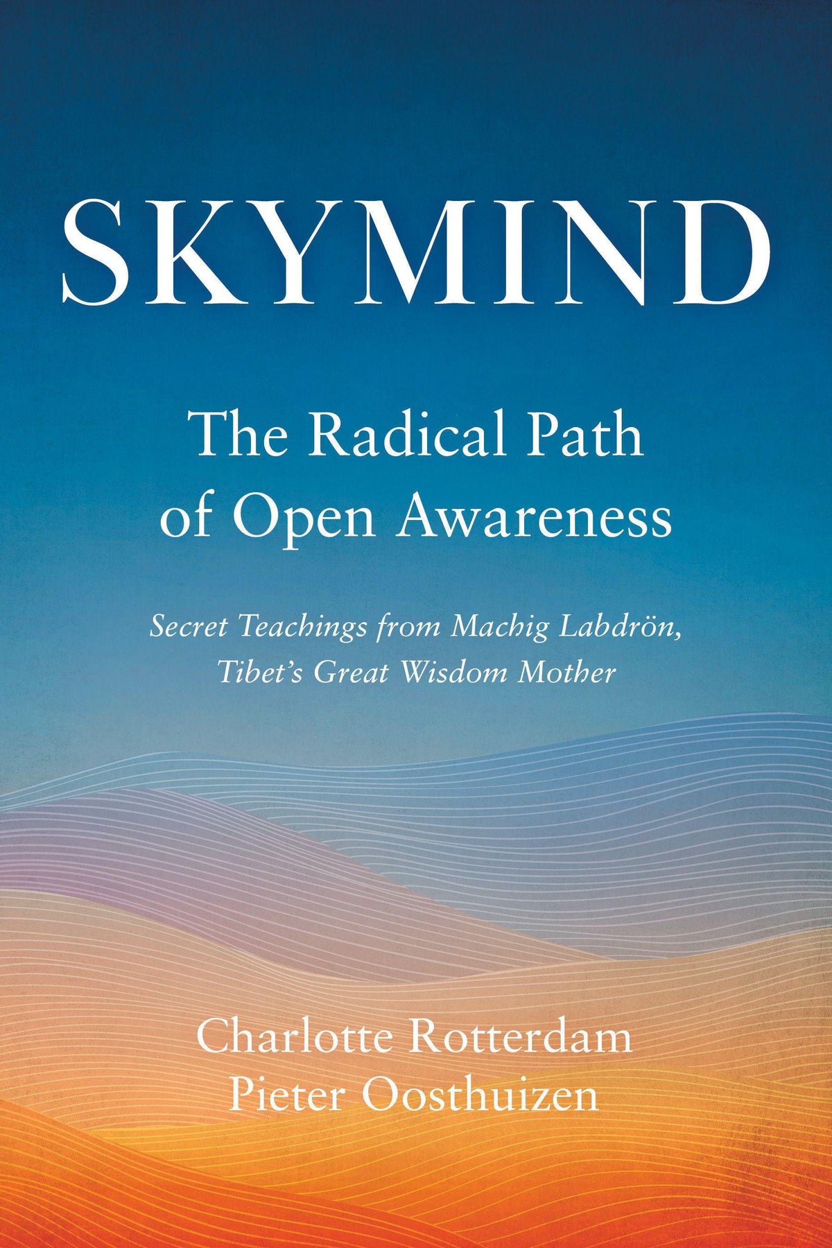 Buchcover: Skymind