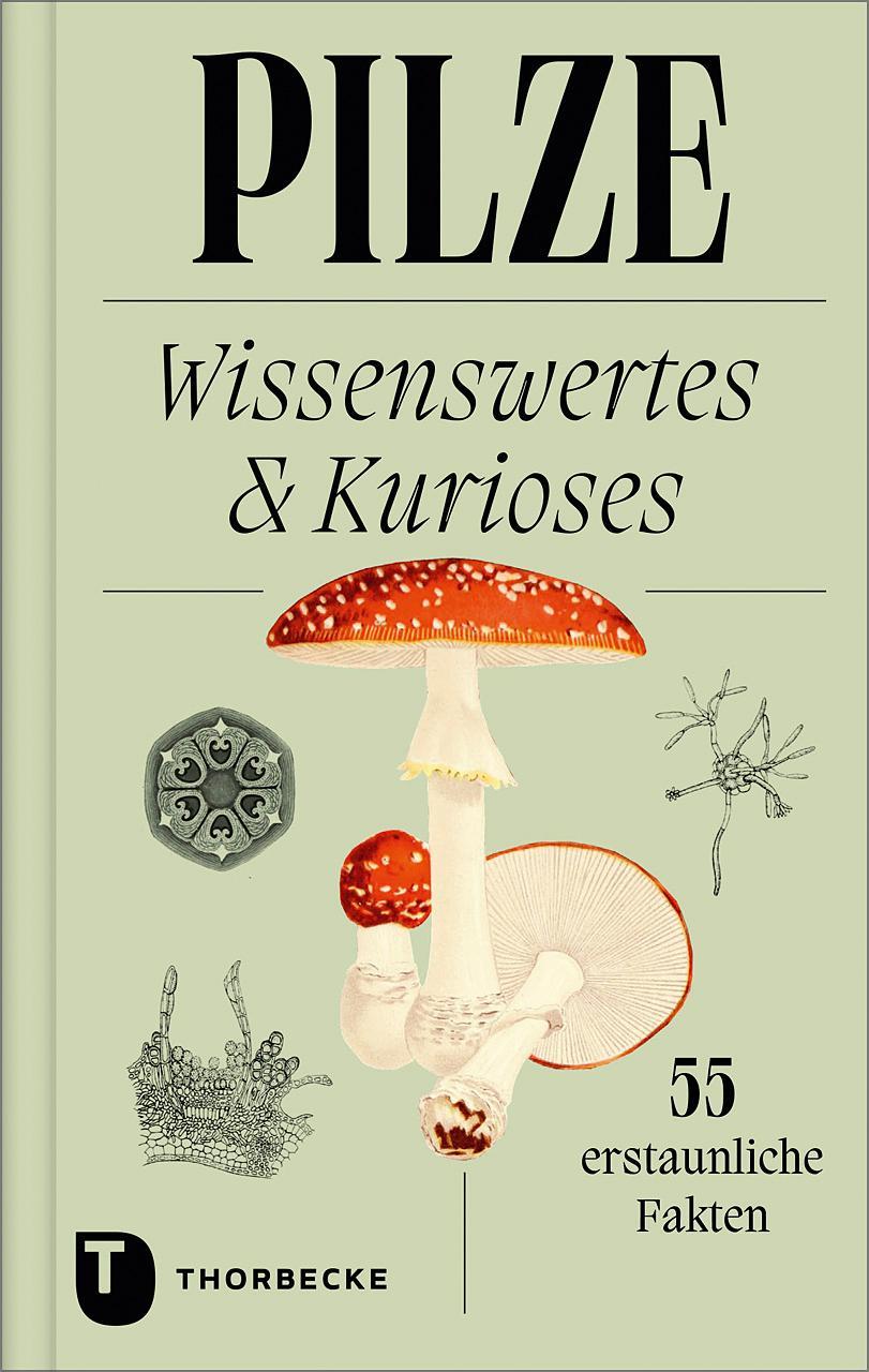 Buchcover: Pilze