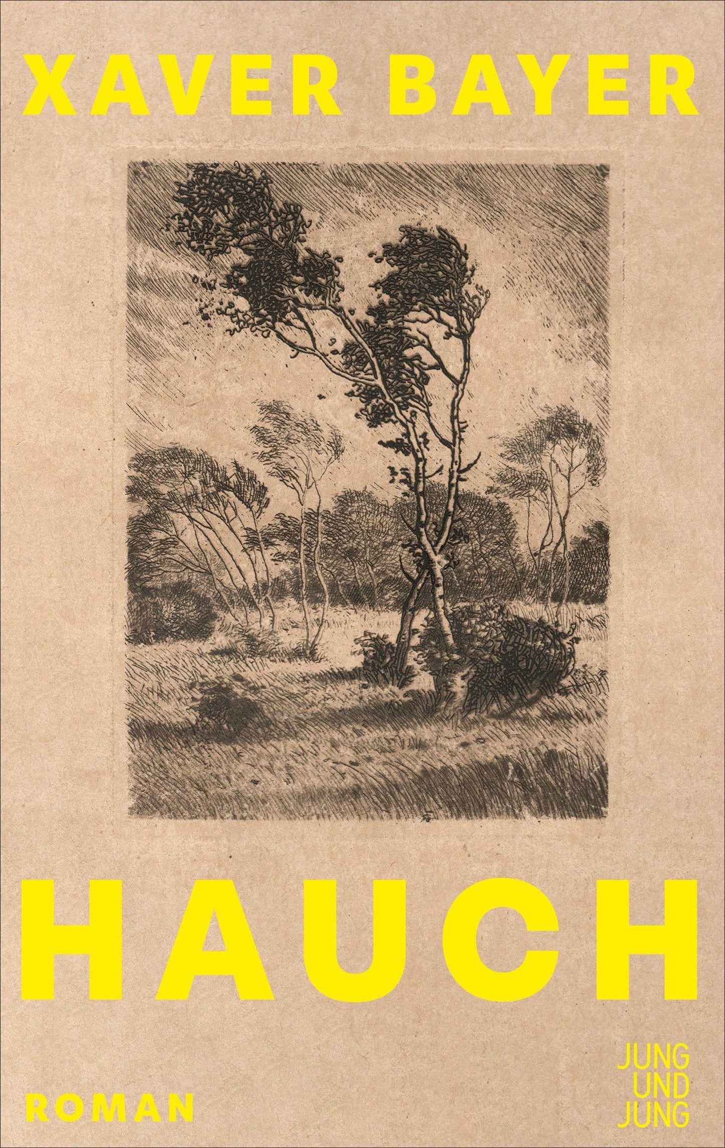 Hauch