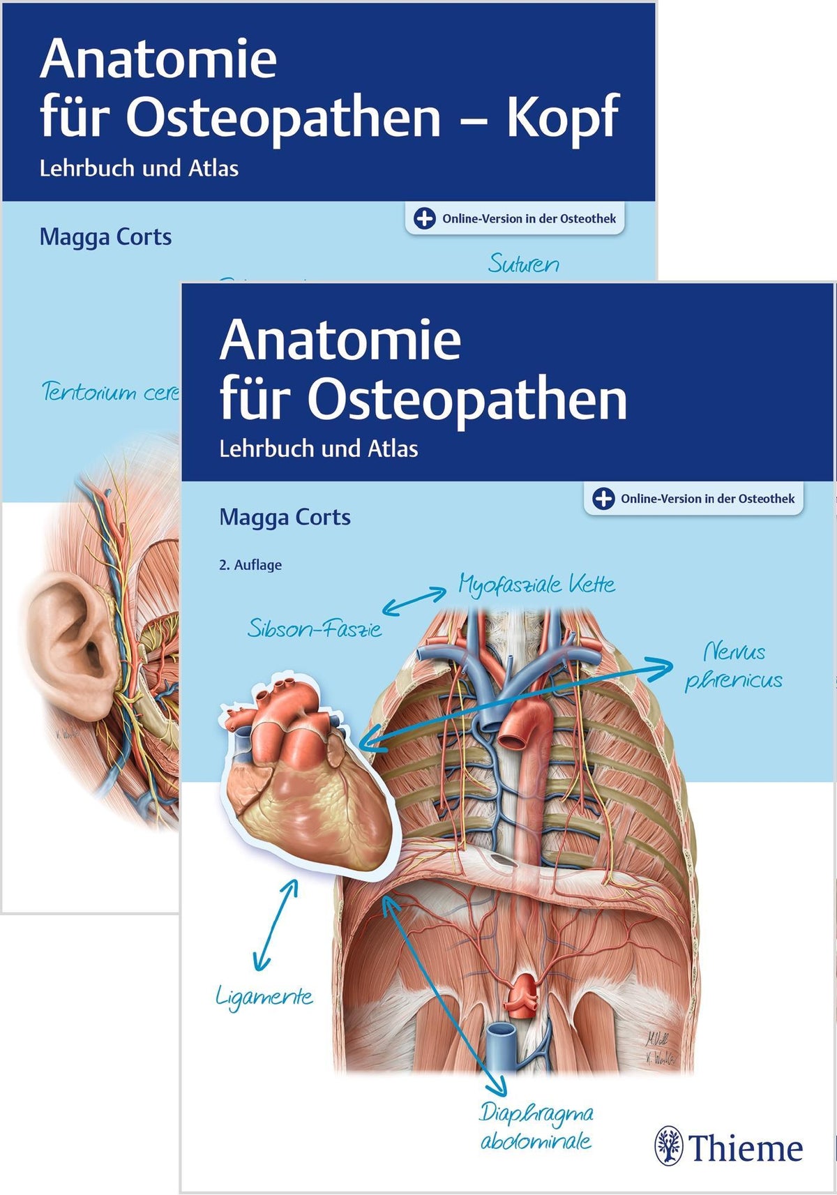 Buchcover: Set Anatomie für Osteopathen
