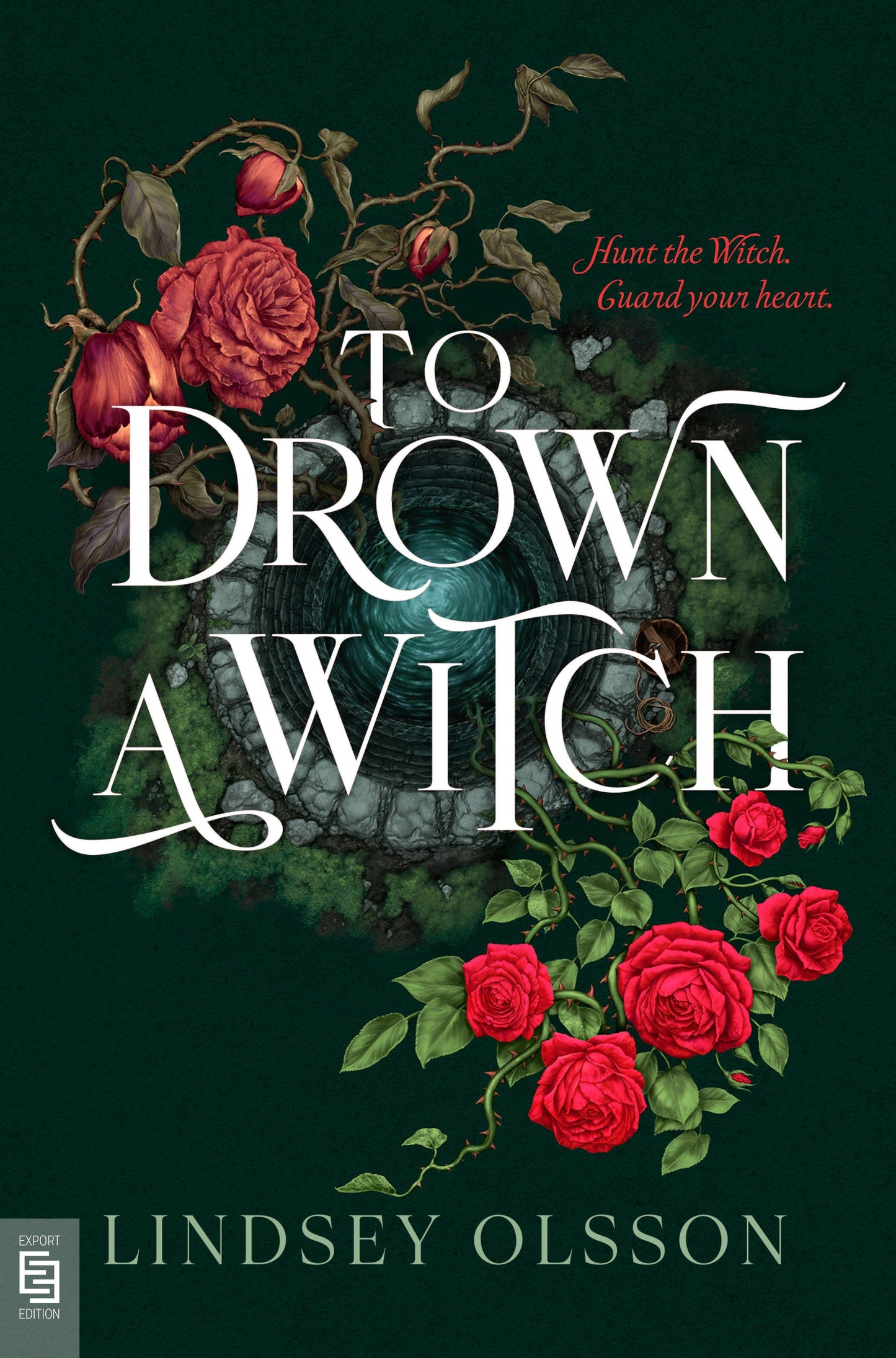 To Drown a Witch