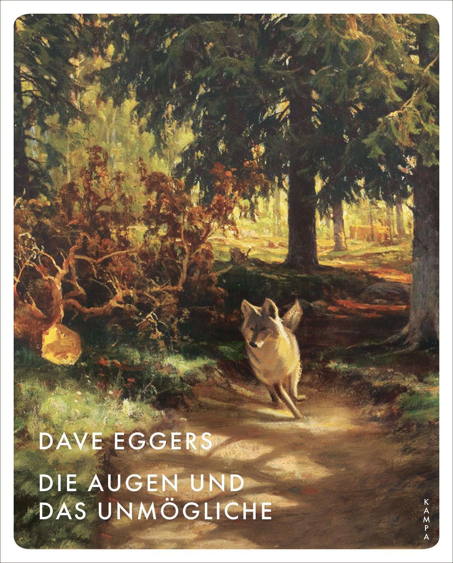 Eggers, Dave/Die Augen und das Unmögliche