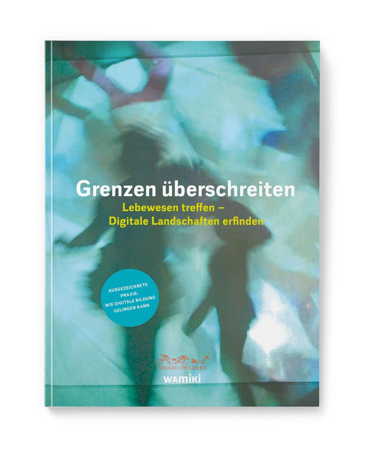 Buchcover: Grenzen überschreiten