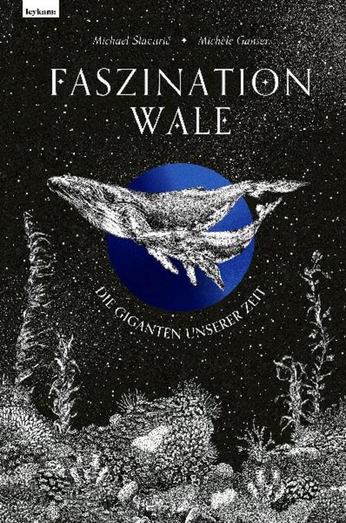 Faszination Wale - Die Giganten unserer Zeit