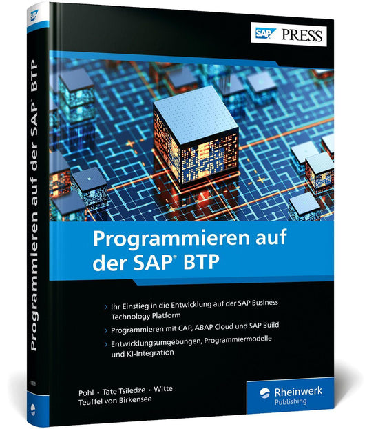 Programmieren auf der SAP BTP