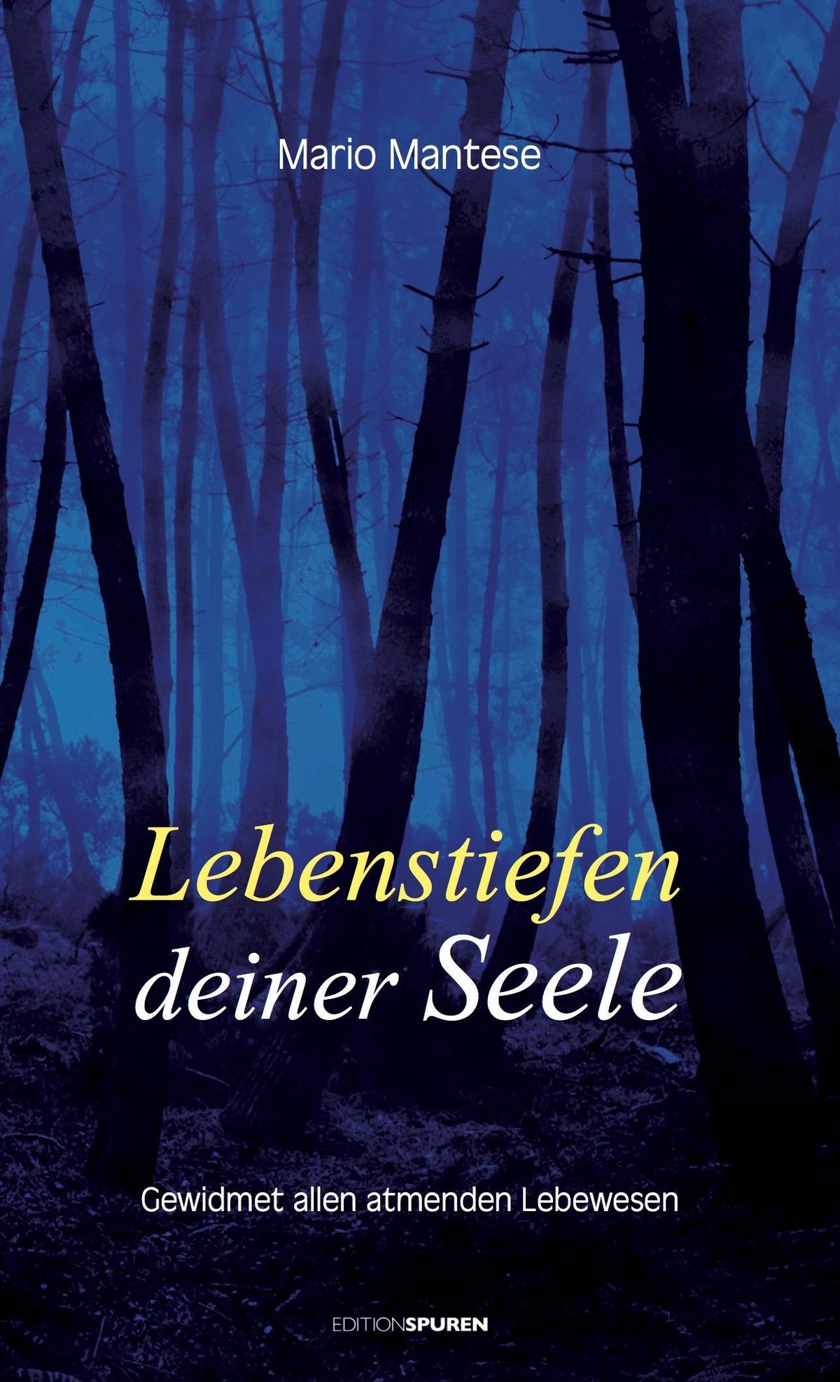 Buchcover: Lebenstiefen deiner Seele