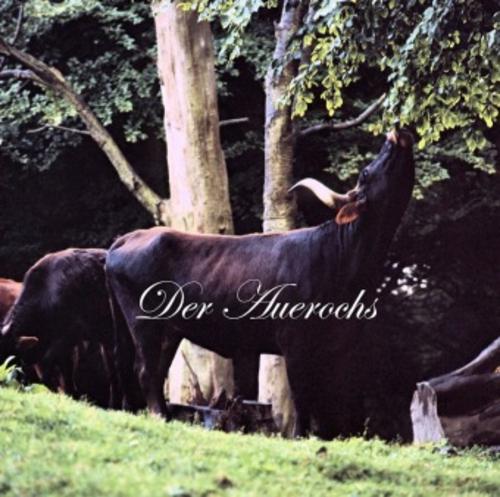 Buchcover: Der Auerochs