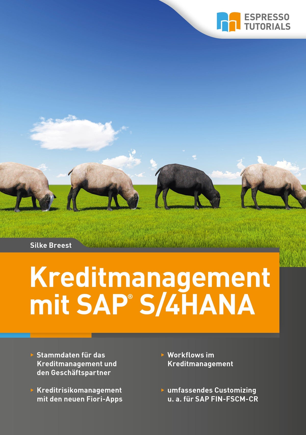 Buchcover: Kreditmanagement mit SAP S/4HANA