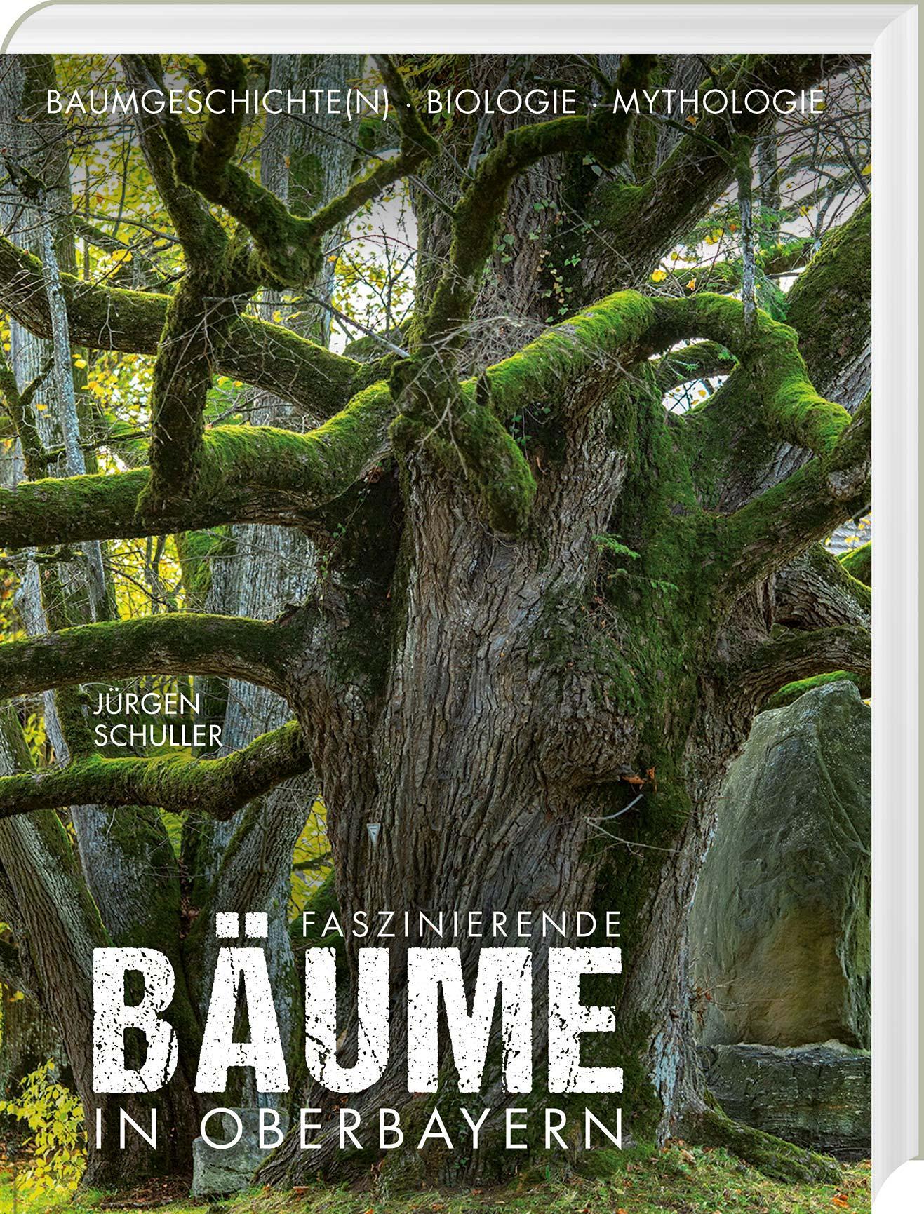 Buchcover: Faszinierende Bäume in Oberbayern