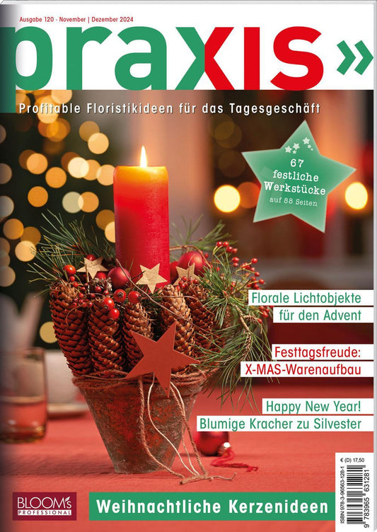 Buchcover: PRAXIS Nr. 120