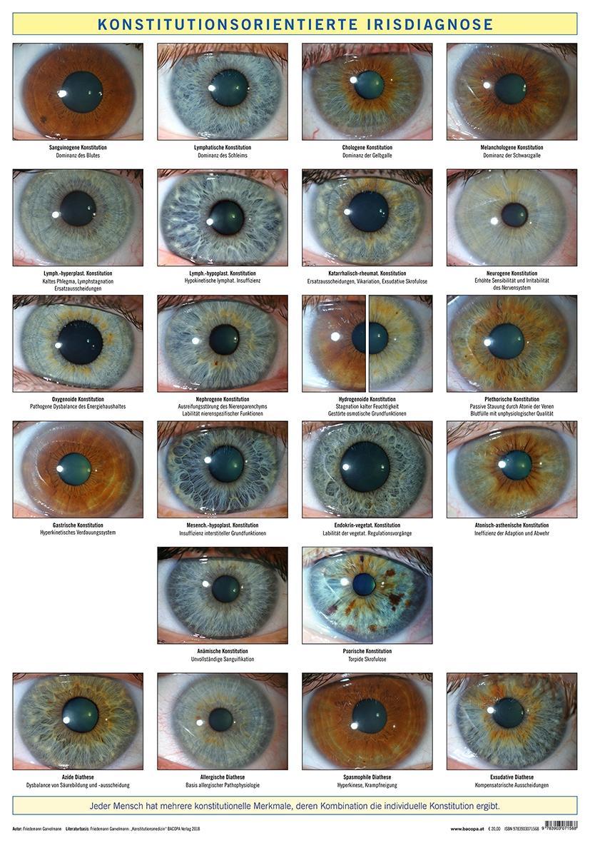 Buchcover: Konstitutionsorientierte Irisdiagnose, Wandtafel