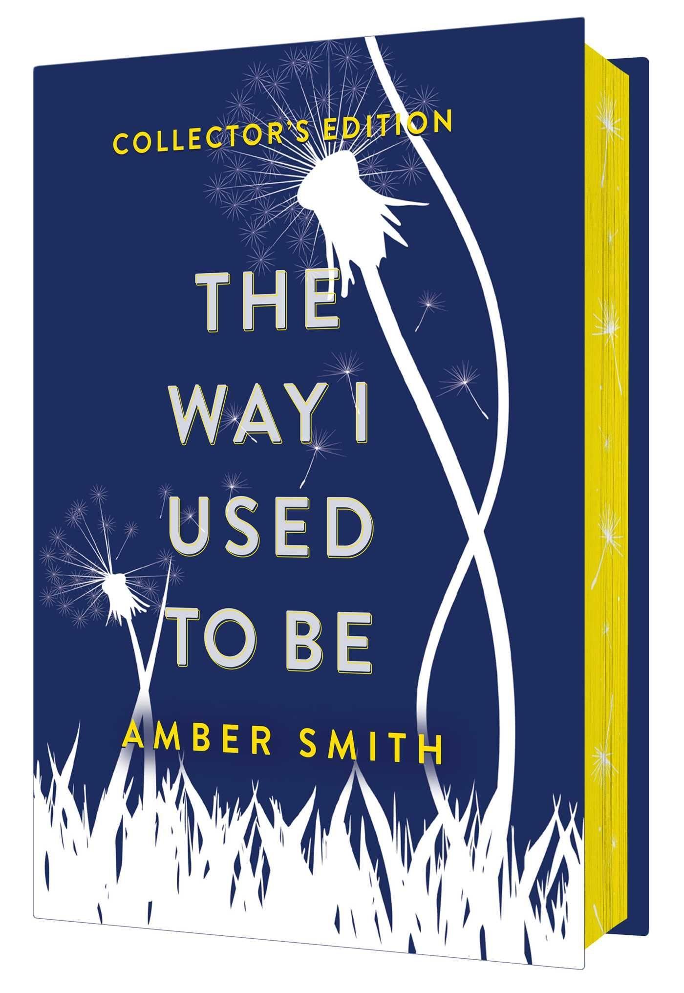 The Way I Used to Be (Collector's Edition)