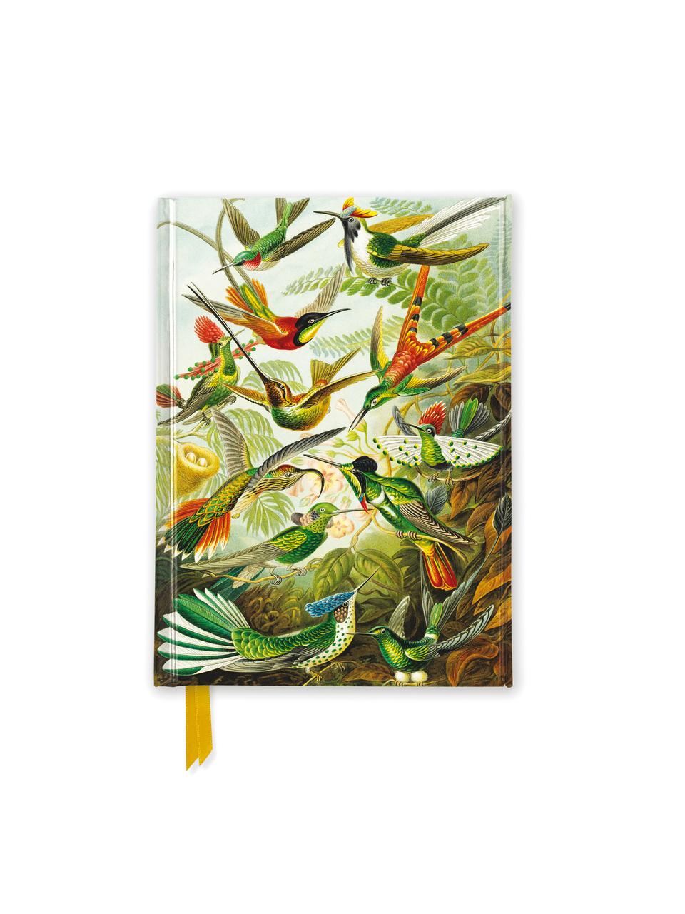 Buchcover: Ernst Haeckel: Hummingbirds (Foiled Pocket Journal)