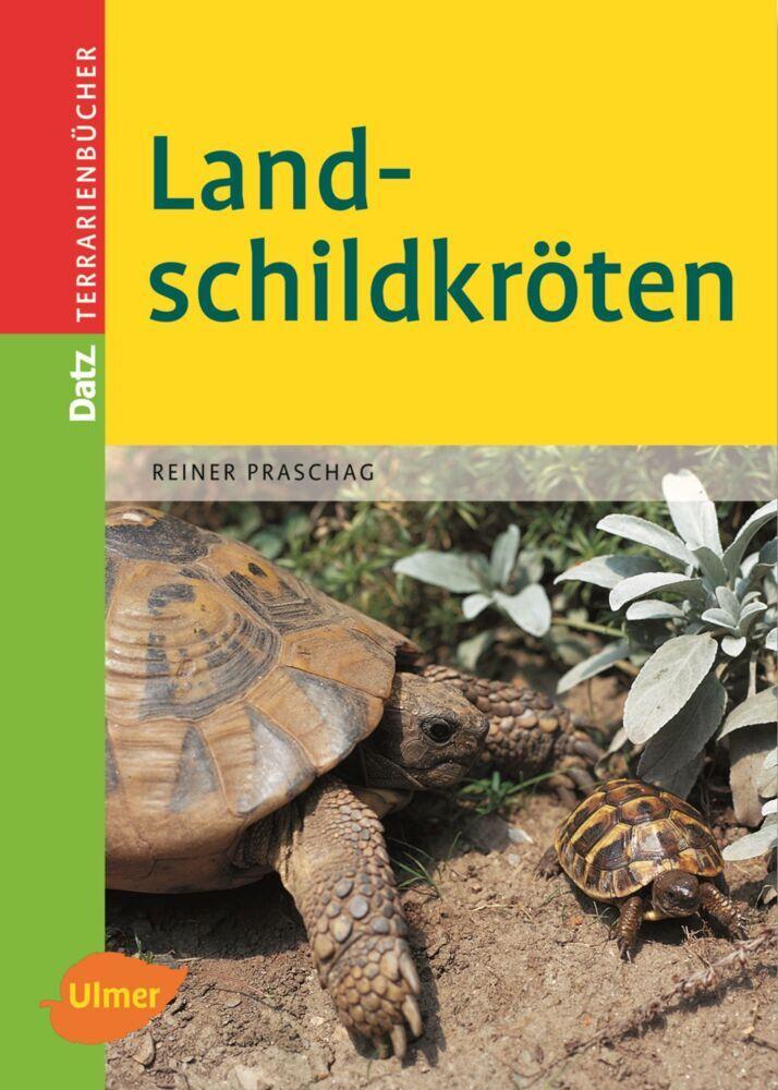 Buchcover: Landschildkröten