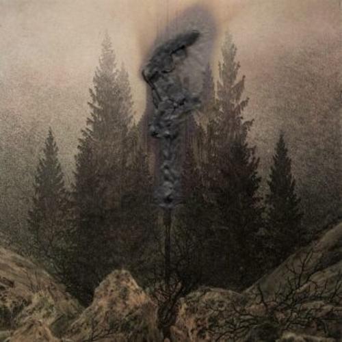 Avitum,1 LP