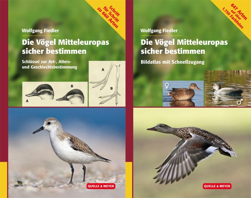 Buchcover: Die Vögel Europas sicher bestimmen