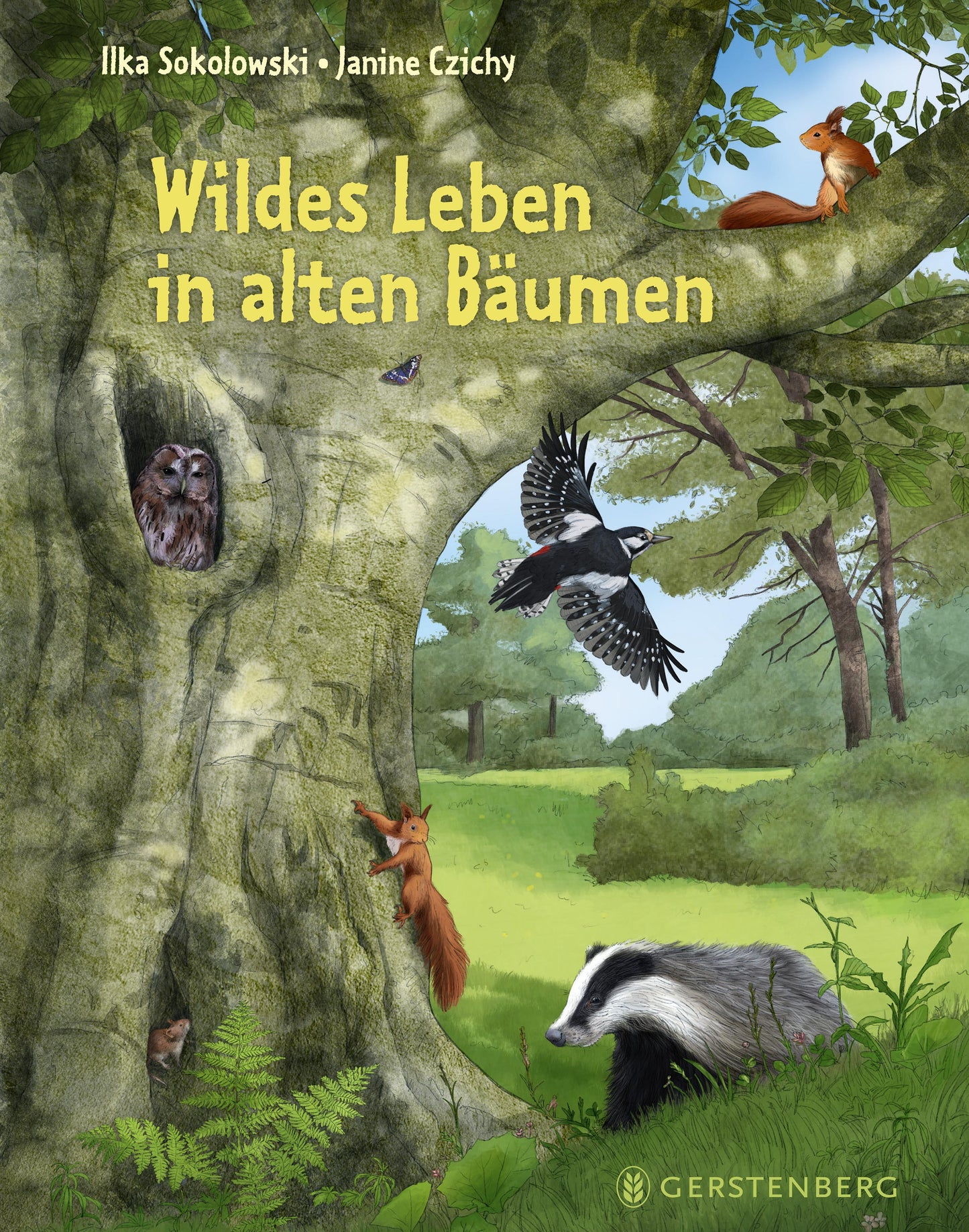 Sokolowski, Ilka/Wildes Leben in alten Bäumen