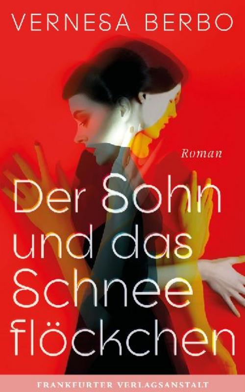 Der Sohn und das Schneeflöckchen: »Ein Roman gegen den Krieg und für die Liebe. Ein großes Glück!« Saša Stanišić: 'Ein Roman gegen den Krieg und für ... Sa a Stani ic (Debütromane in der FVA)