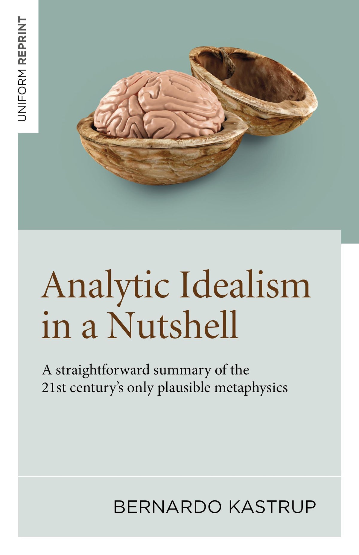 Buchcover: Analytic Idealism in a Nutshell
