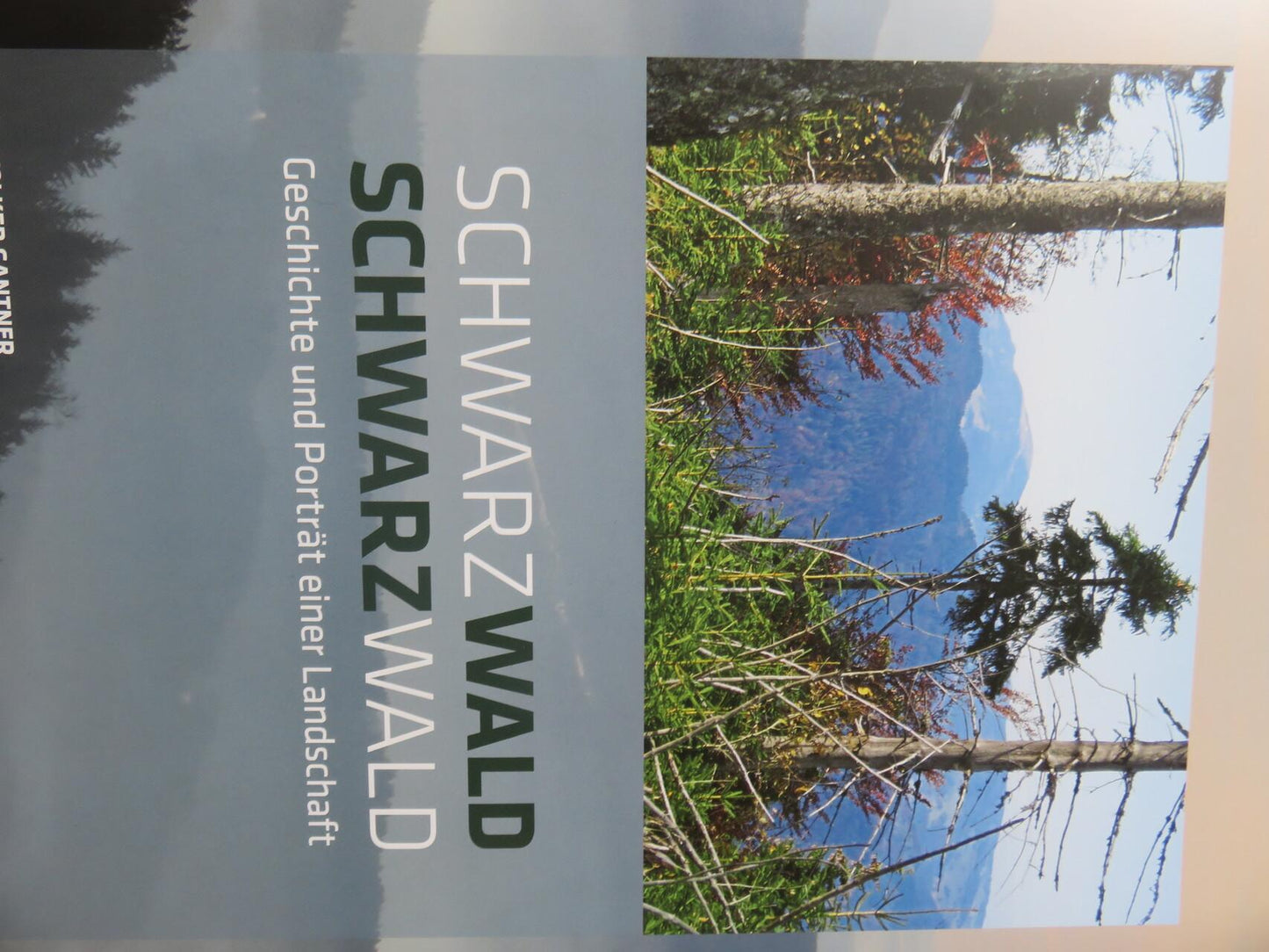 Schwarzwald, Schwarzwald, Geschichte und Porträt einer Landschaft