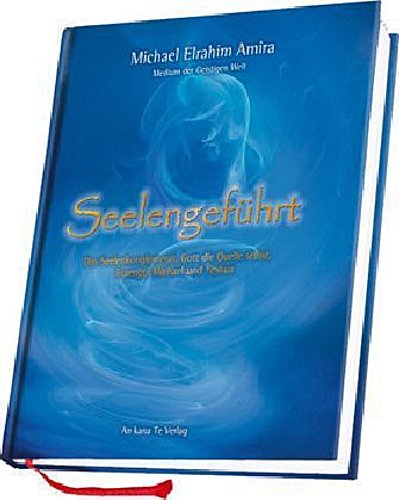 Buchcover: Seelengeführt