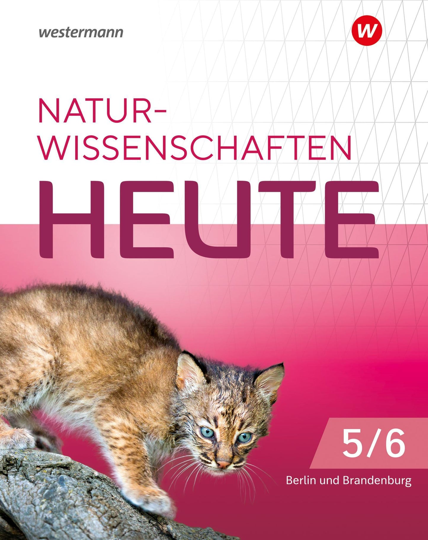 für die grundständigen Gymnasien in Berlin und Brandenburg  für die grundständigen Gymnasien