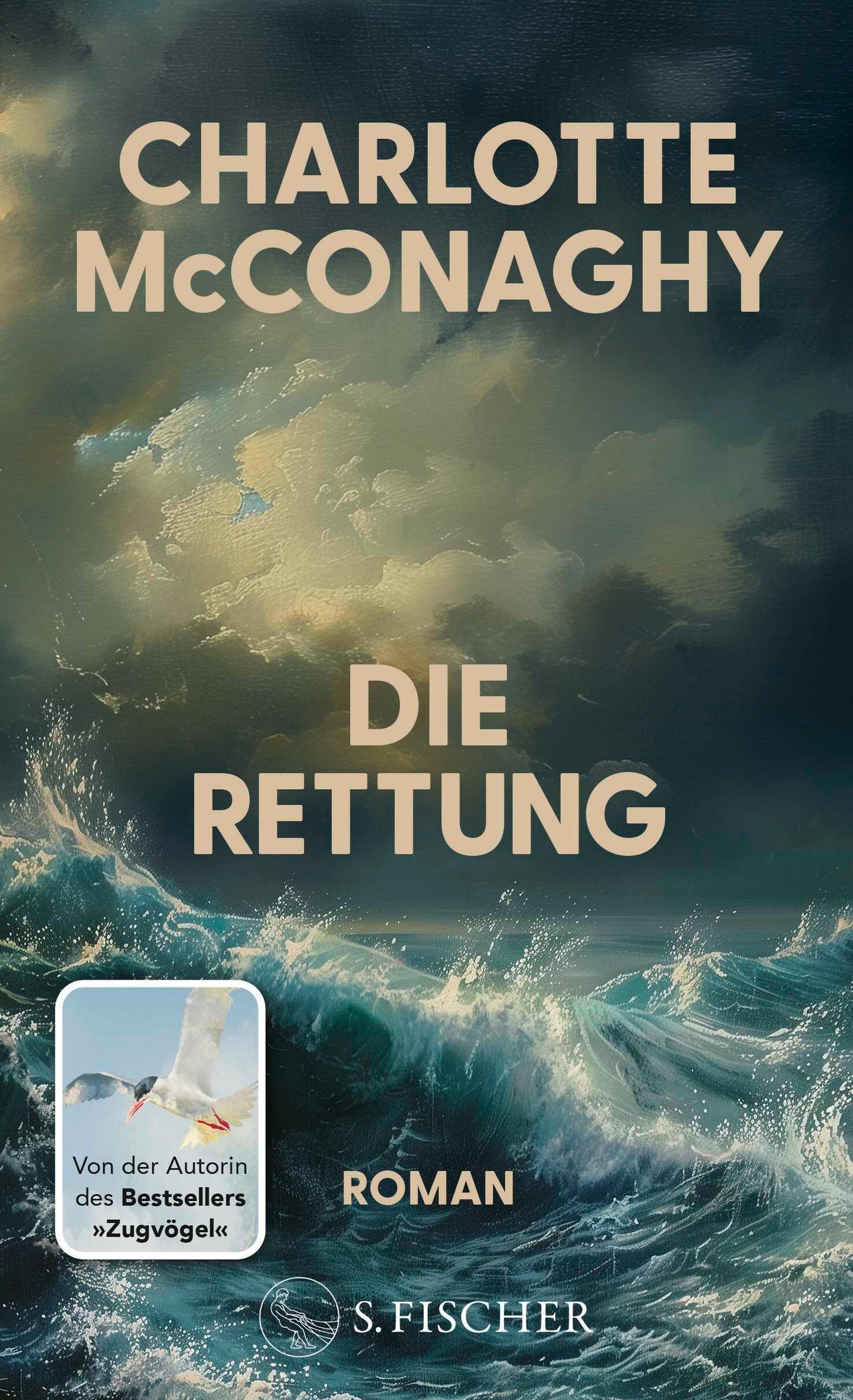 Die Rettung: Roman