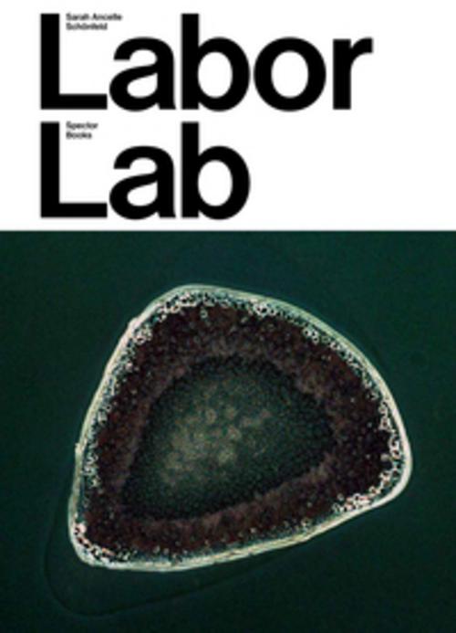 Sarah Ancelle Schönfeld: Labor Lab