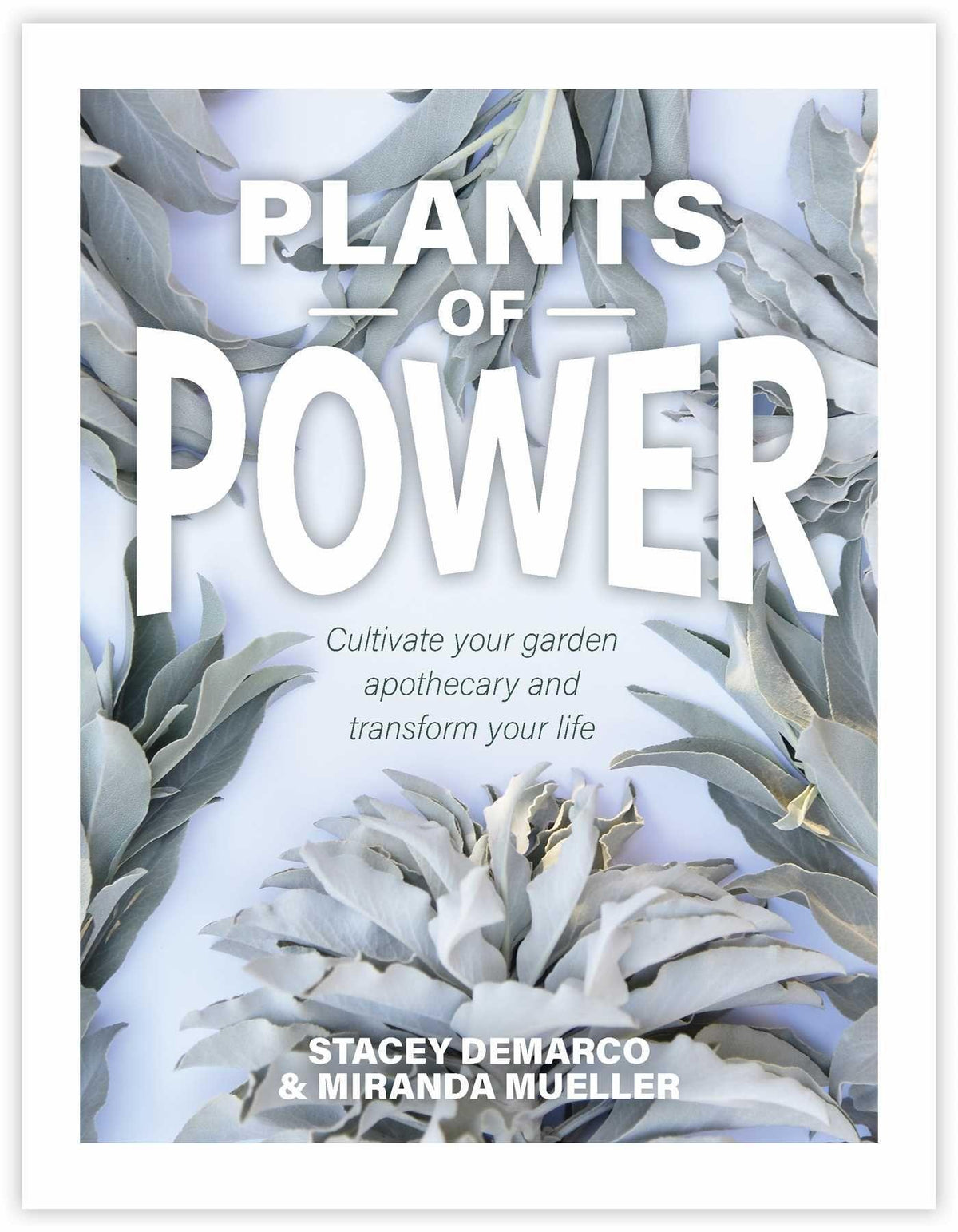 Buchcover: Plants of Power