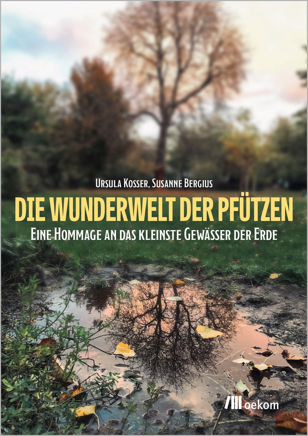 Buchcover: Die Wunderwelt der Pfützen