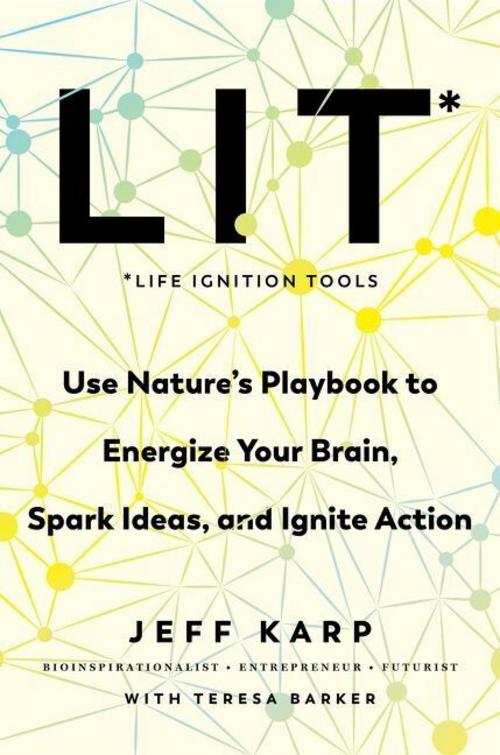 Buchcover: LIT: Life Ignition Tools