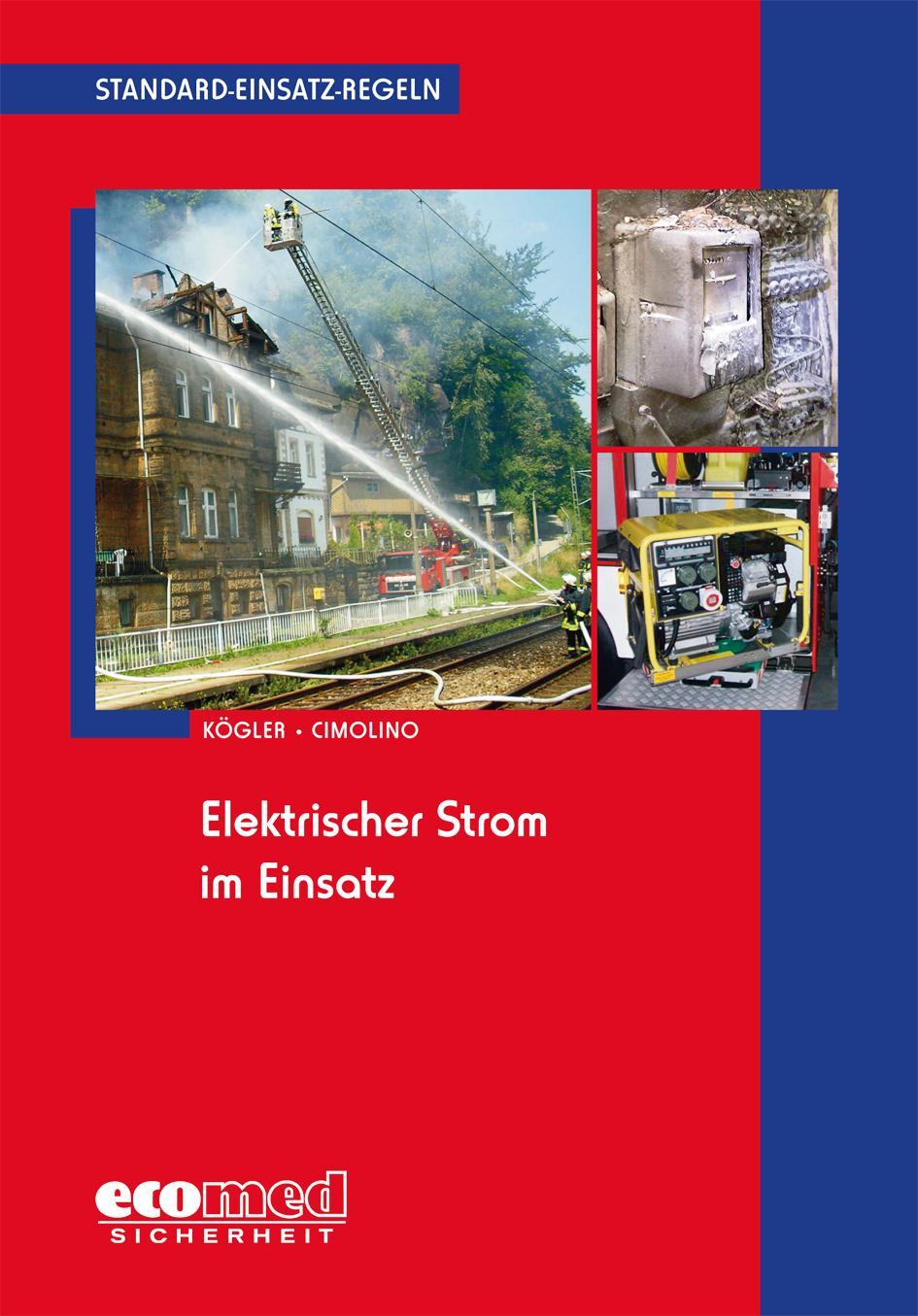 Buchcover: Standard-Einsatz-Regeln: Elektrischer Strom im Einsatz