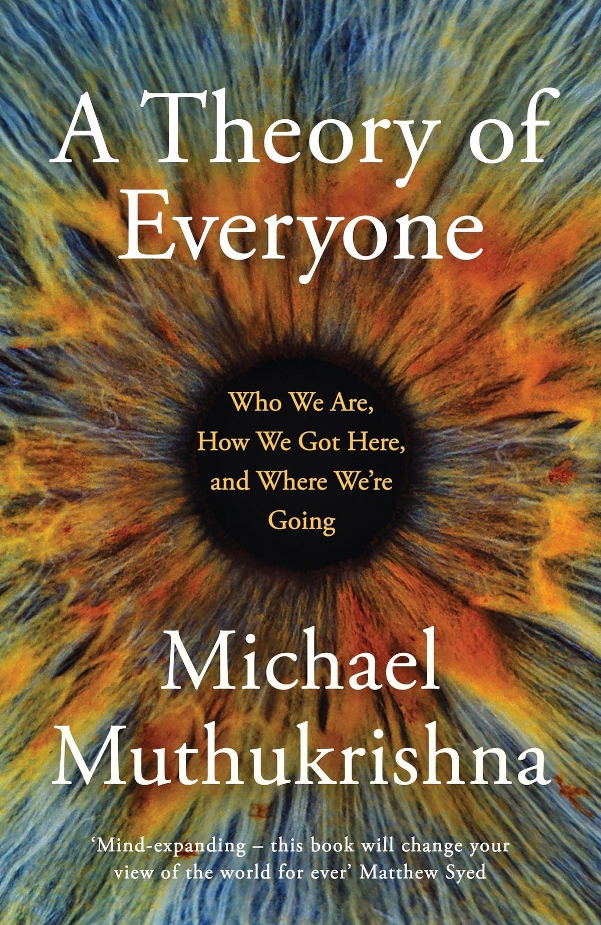 Buchcover: A Theory of Everyone