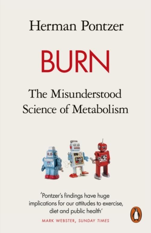 Buchcover: Burn