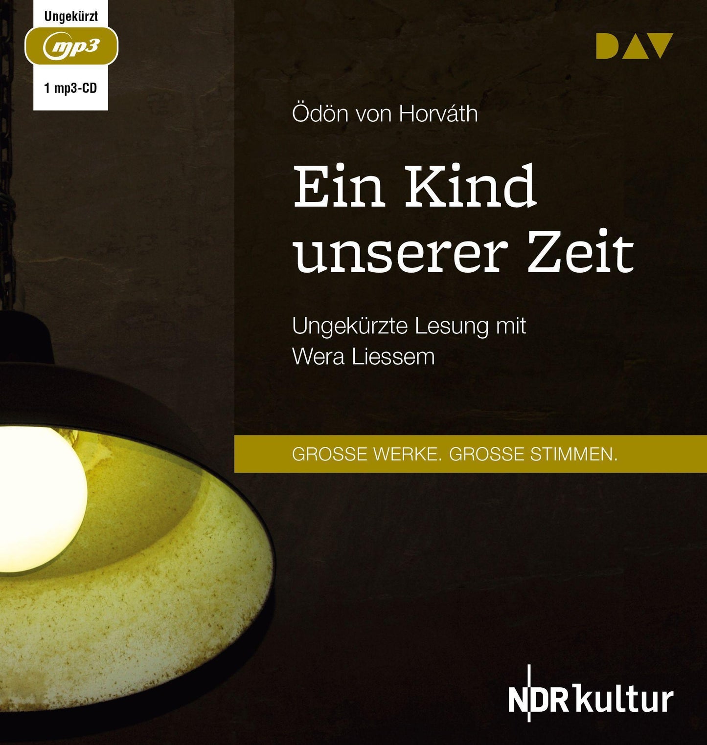 Ein Kind unserer Zeit,1 Audio-CD, 1 MP3
