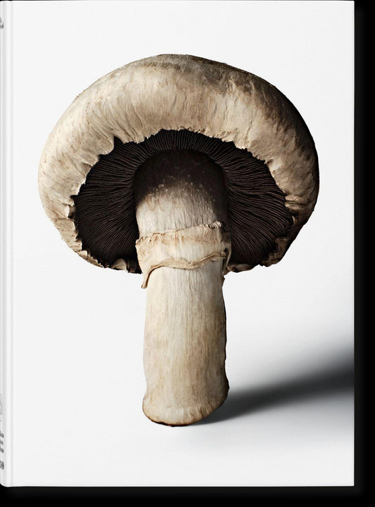 The Gourmand's Mushroom: A Collection of Stories and Recipes