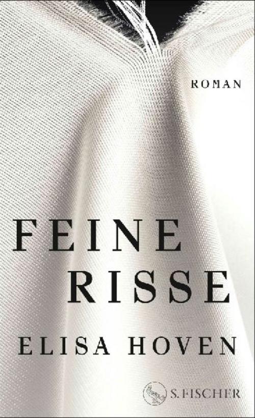 Feine Risse: Roman