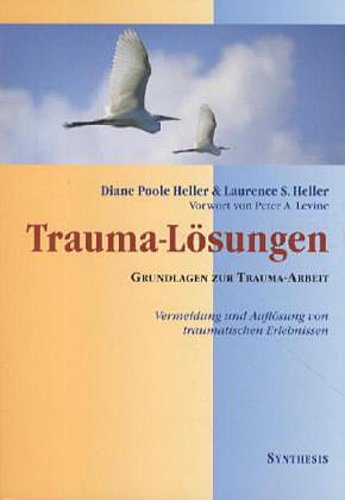 Trauma- Lösungen