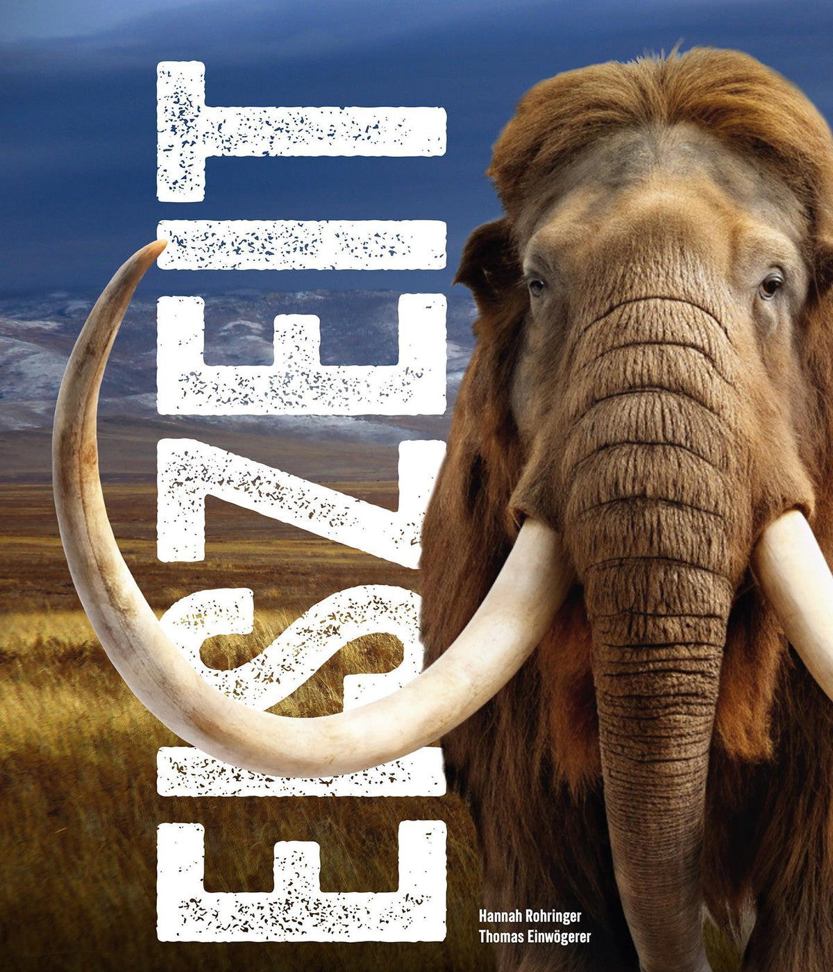 Buchcover: Eiszeit - Ice Age