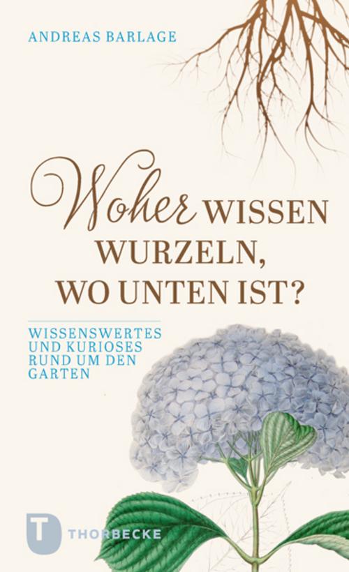 Buchcover: Woher wissen Wurzeln, wo unten ist?