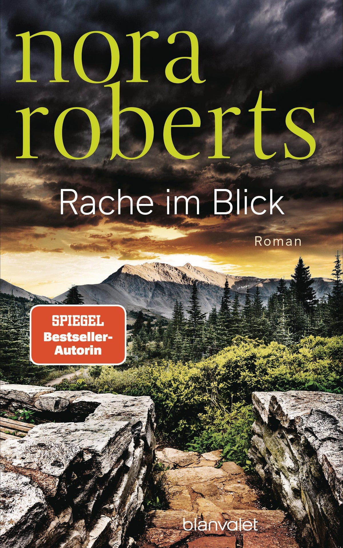 Rache im Blick: Roman