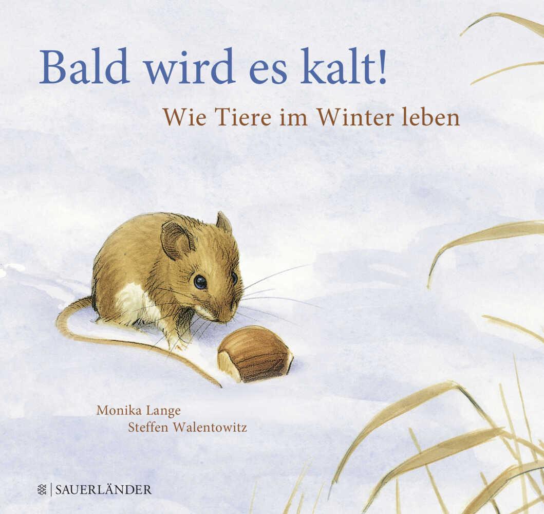 Bald wird es kalt!