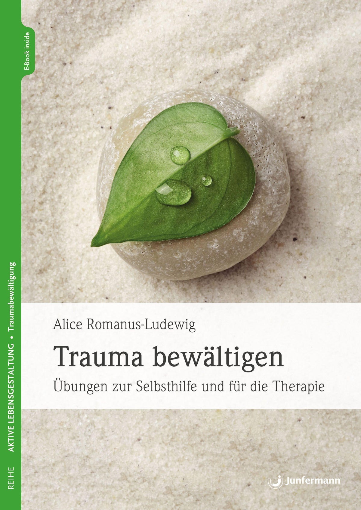 Buchcover: Trauma bewältigen