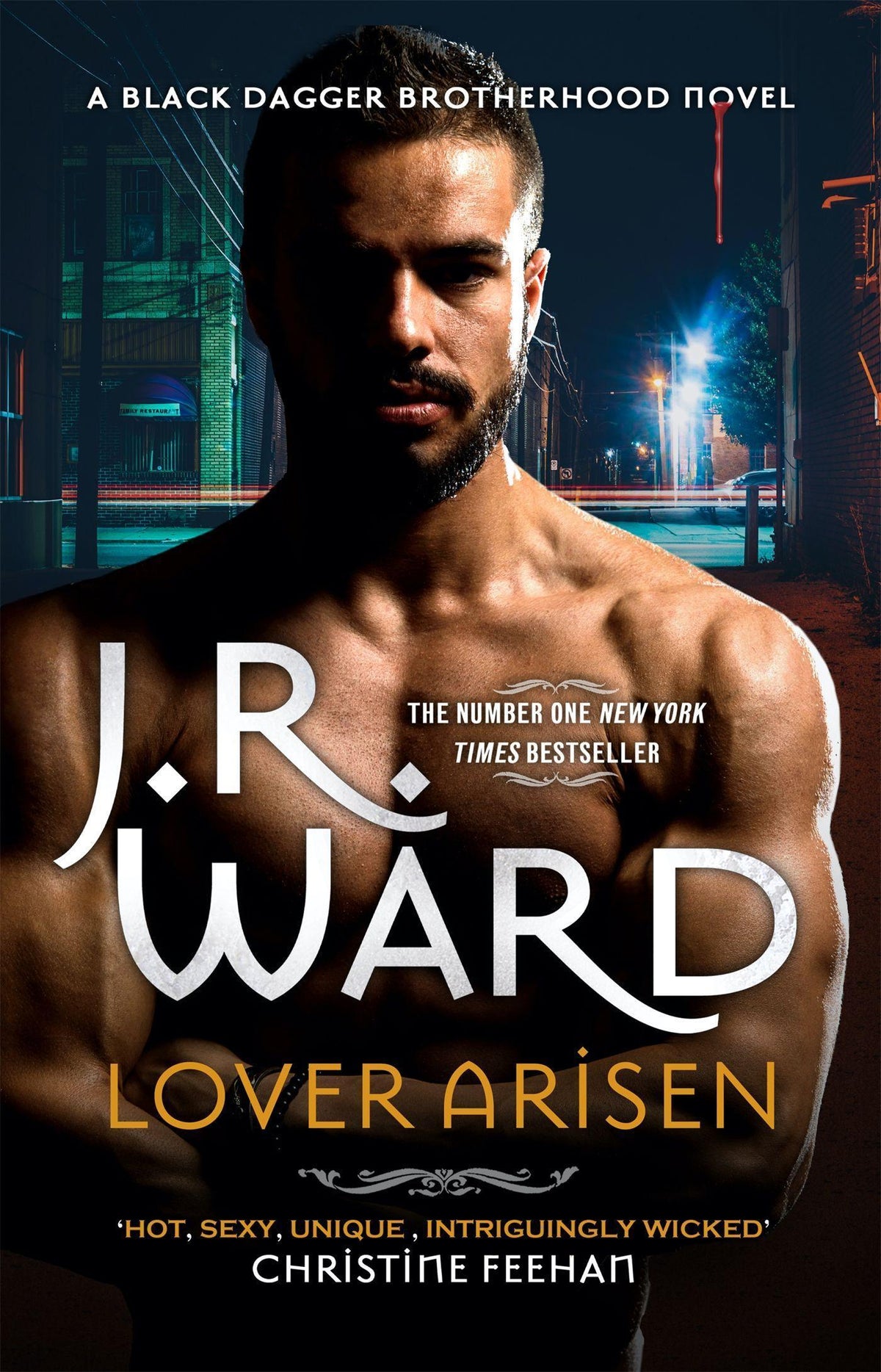 Buchcover: Lover Arisen