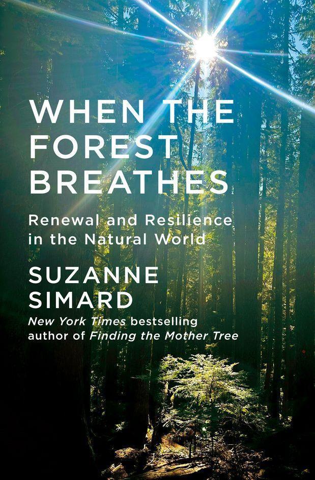 When the Forest Breathes
