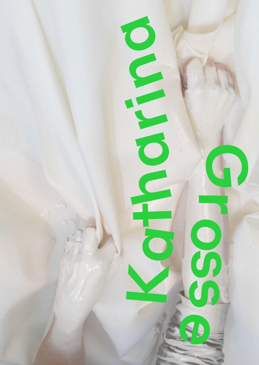 Katharina Grosse (Englische Ausgabe)