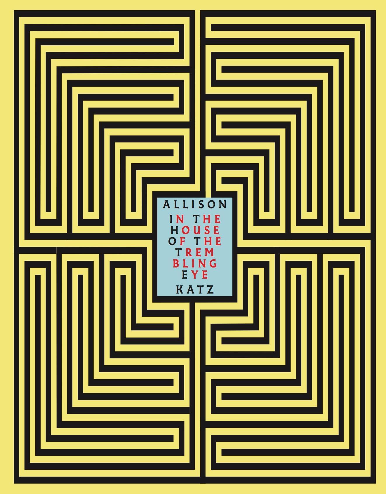 Allison Katz. In the House of the Trembling Eye